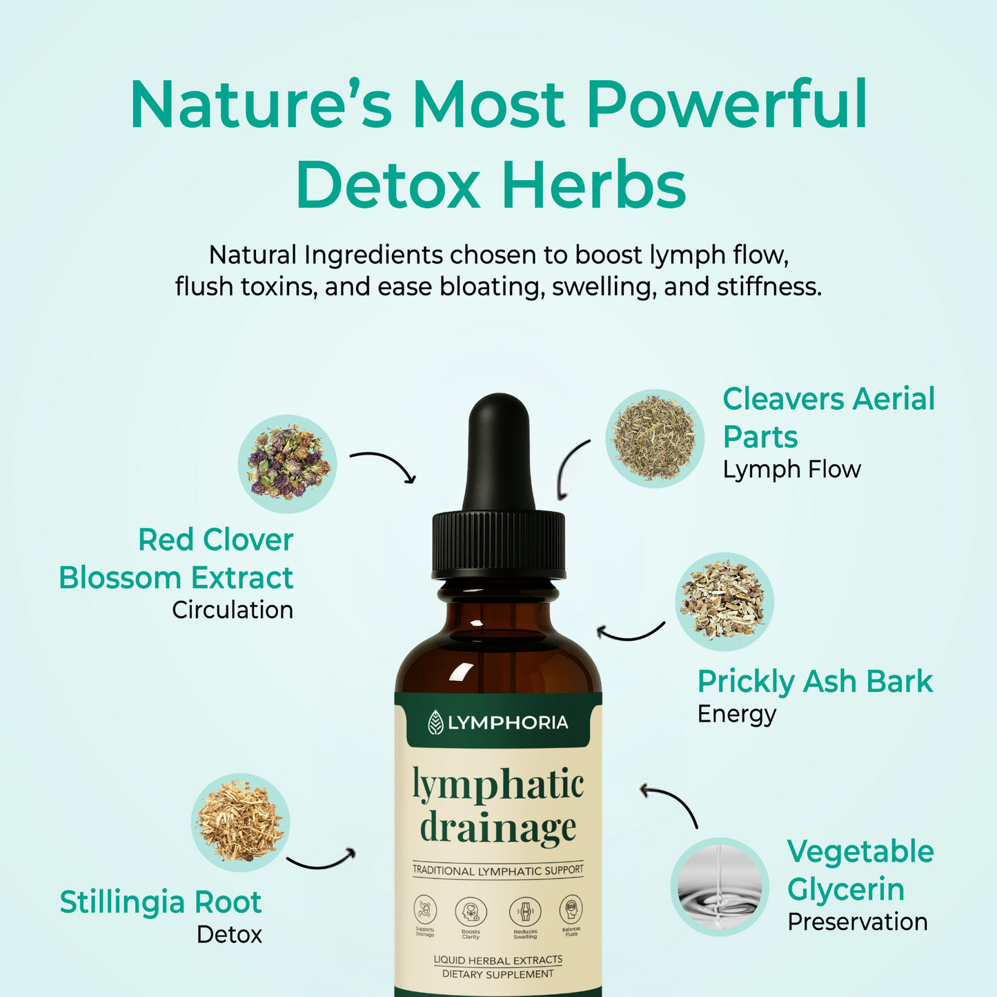 Lymphoria Drainage Drops